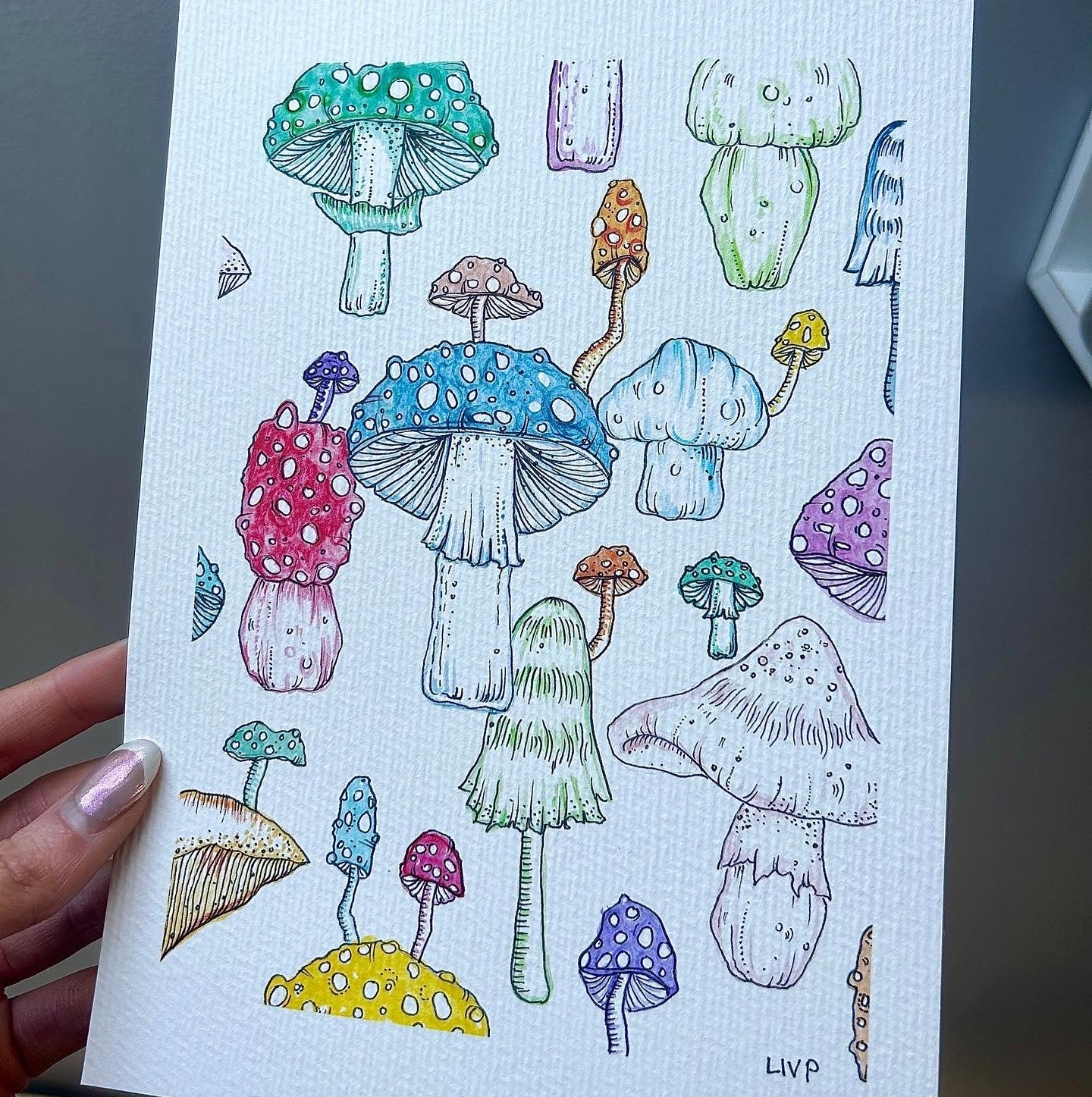 A5 Mushroom Print, One