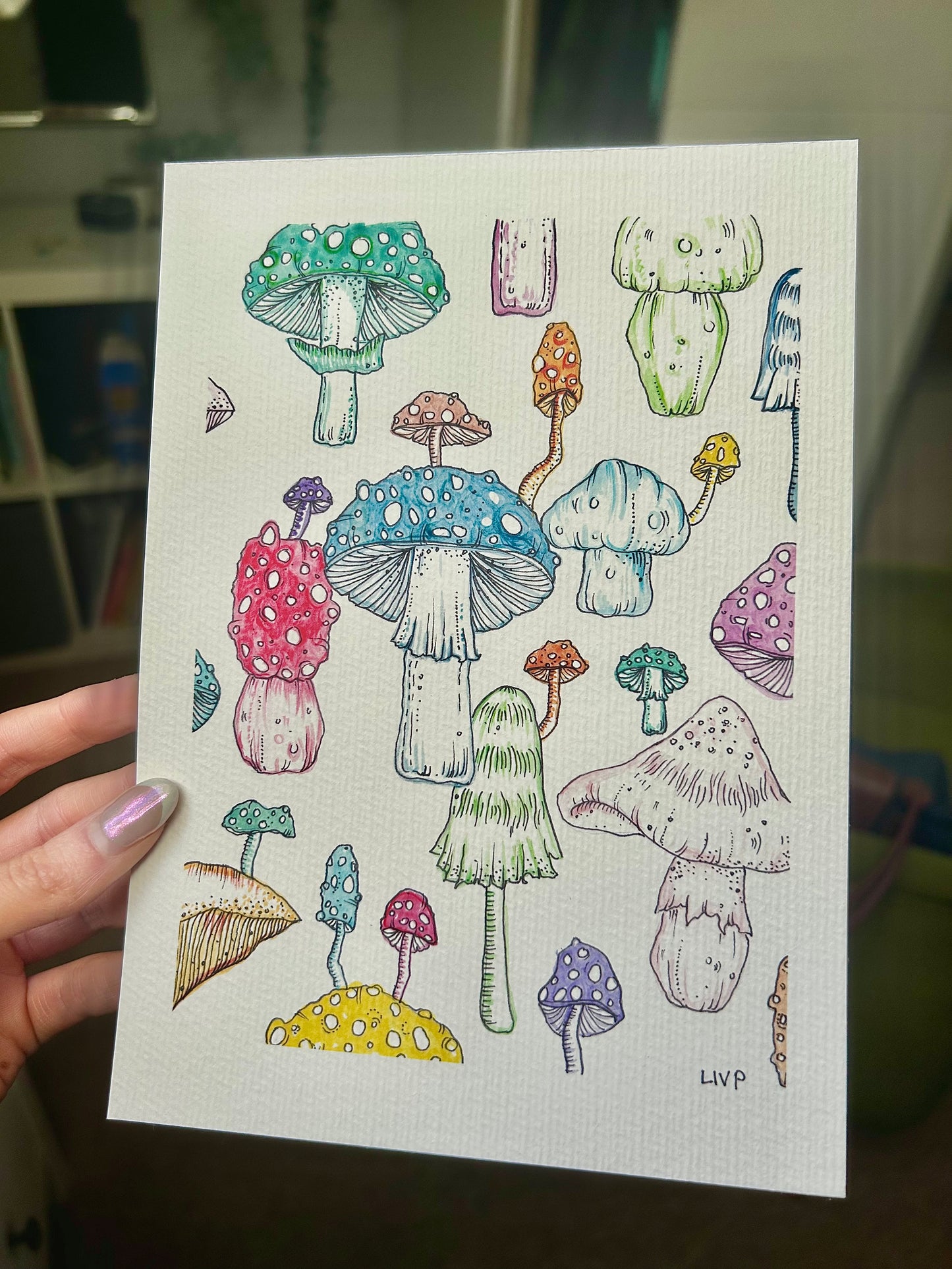 A5 Mushroom Print, One